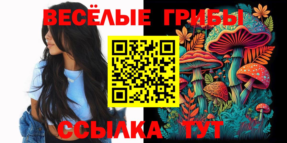 Псилоцибиновые грибы ЛСД Пенза